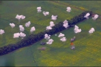 ВСУ за сутки потеряли 400 солдат при попытке атаковать Курскую область