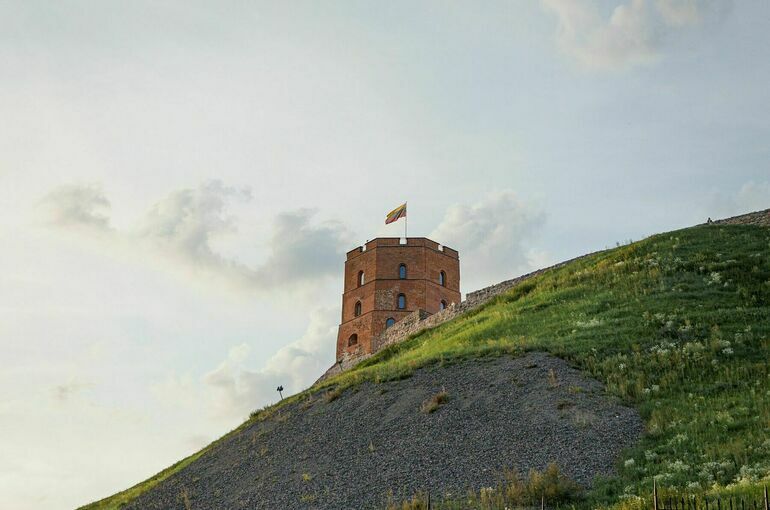 В Литве начались тактические учения