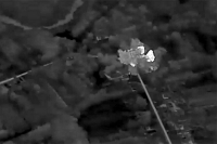 Минобороны показало кадры уничтожения украинской военной техники