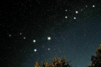 Ученый рассказал, когда можно увидеть звездный дождь