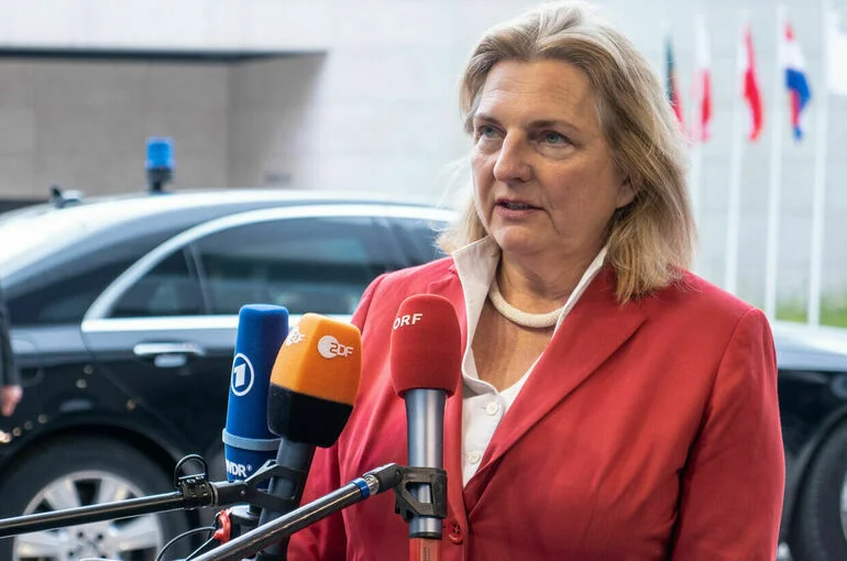 Экс-глава МИД Австрии: Немецкое правительство не понимает российское общество