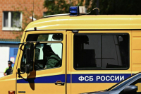 В России с начала 2024 года предотвратили 110 терактов