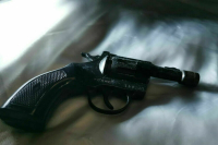 В Госдуму внесли поправки об ограничении покупки оружия