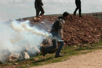 Жена погибшего лидера Ирана назвала виновника конфликта на Ближнем Востоке