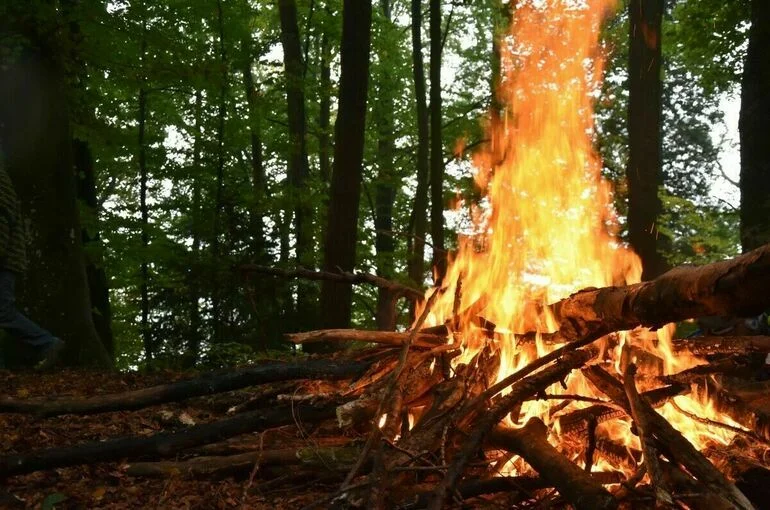 Площадь лесного пожара в Крыму выросла до 75 га