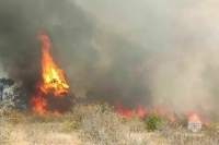 Площадь природного пожара в Крыму выросла до 150 га