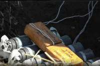 В Росгвардии показали обезвреживание кассетного боеприпаса вблизи Курской АЭС