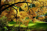 Россиянам пообещали теплый сентябрь