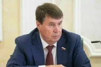 Сенатор Цеков объяснил, почему Киев не возьмет вину за подрыв «Северных потоков»