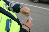 Депутат Тимофеева призвала ускорить процесс возвращения прав бойцам СВО