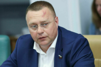 Сенатор Кастюкевич назвал действенные меры для поддержки семей