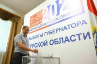 В Курской области в 2024 году отложили часть избирательных кампаний 