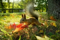 Россиянам спрогнозировали ясную и солнечную погоду без осадков