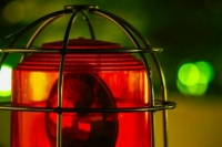 Самолет «Алекс-251» разбился в Московской области