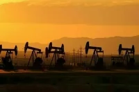 В ОПЕК сообщили о снижении экспорта нефти из России и Центральной Азии