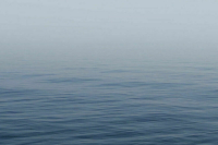 Финляндия приостановила работу консультативного совета по Сайменскому каналу