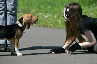 Депутат Бессараб предложила исследовать субкультуру подражания животным