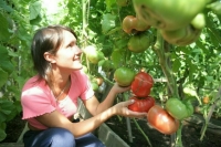 Как заработать на урожае с приусадебного участка