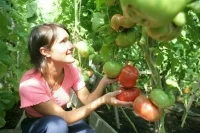 Как заработать на урожае с приусадебного участка