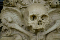 В Татарстане провели раскопки древнего могильника первобытных людей