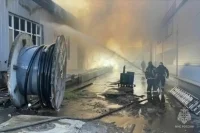 В Подольске горит завод на площади 4,8 тысячи квадратных метров