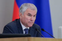 Володин: Власть в Европе захватили суррогаты