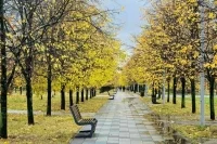 Жителям Москвы обещали потепление со среды и дожди в выходные