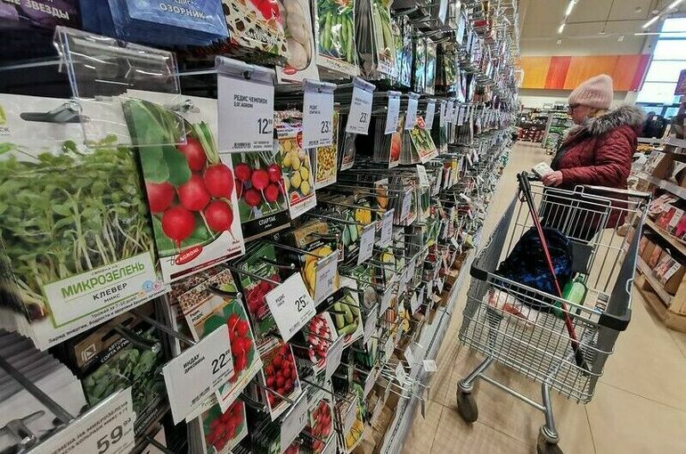 Минсельхоз: Обеспеченность России семенами к 2030 году вырастет до 75%