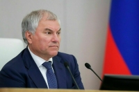 Володин предложил кабмину провести ревизию в сфере детского отдыха