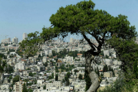 Массовых отказов от туров на Ближний Восток пока нет