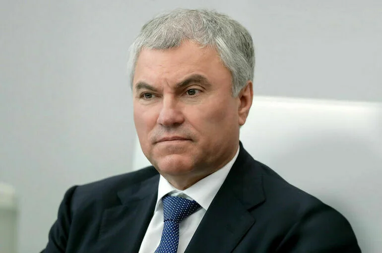 Володин предложил «Новым людям» пересмотреть позицию по проектам о запрете пропаганды чайлдфри