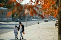 Москвичам обещали бабье лето на рубеже 12-14 октября