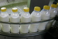 Жителей Дальнего Востока обещают напоить молоком