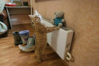 Отопление в Москве начнут включать 7 октября