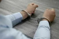В Приморье задержали трех иностранцев, пересекших границу ради сбора дикоросов