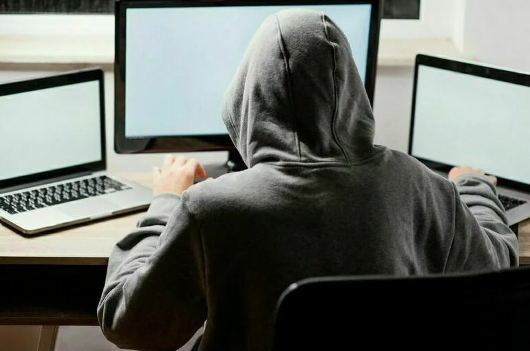 В Совфеде разработали проект закона о «белых хакерах»