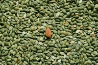 Минсельхоз: Доля семян отечественной селекции динамично растет