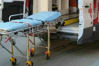 В Якутии умерла пострадавшая от нападения собак девочка