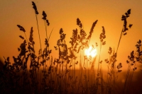 Лут: К 2030 году в России нужно создать 18 тысяч агрошкол