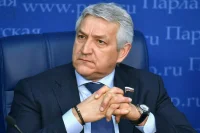 Депутат Огуль поддержал обязательную консультацию у психолога перед абортом
