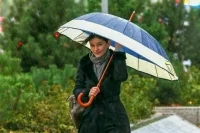 В Москве 14 октября может выпасть свыше 20 процентов осадков от месячной нормы