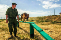 Служебных собак в армии будут чипировать