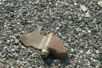 Украинский беспилотник разбросал мины «лепесток» в Белгородской области