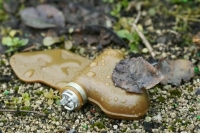 В Белгородской области частично перекрыли пять дорог из-за «Лепестков»