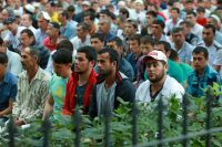 Кардиолог и инженер без криминального прошлого: каких мигрантов ждут в России