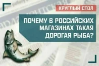«Почему в российских магазинах такая дорогая рыба?»