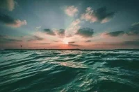 Россия выйдет из Международного совета по исследованию моря