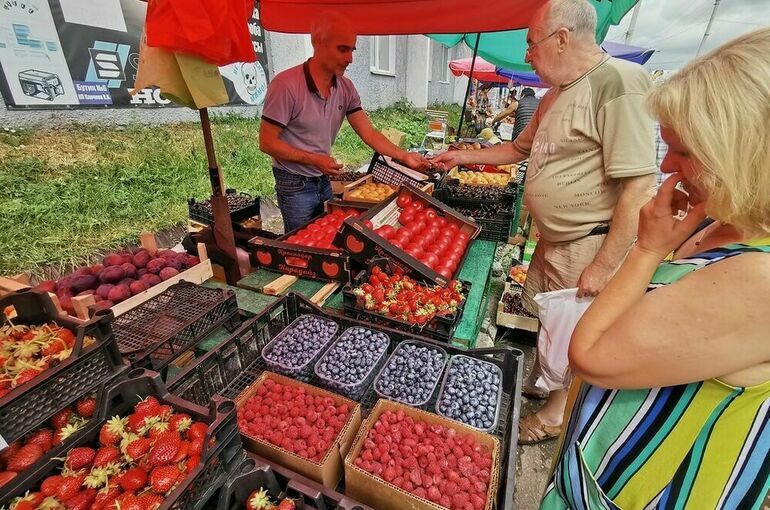 Сенаторы призвали усилить контроль качества импортируемых фруктов и ягод