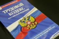 В ЛДПР предложили запретить отказывать в трудоустройстве женщинам без детей