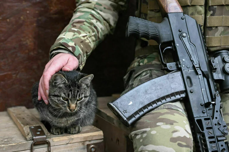 ВС РФ освободили 18 жителей Курской области